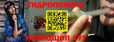 стафф Пенза