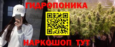 PSILOCYBIN Партизанск
