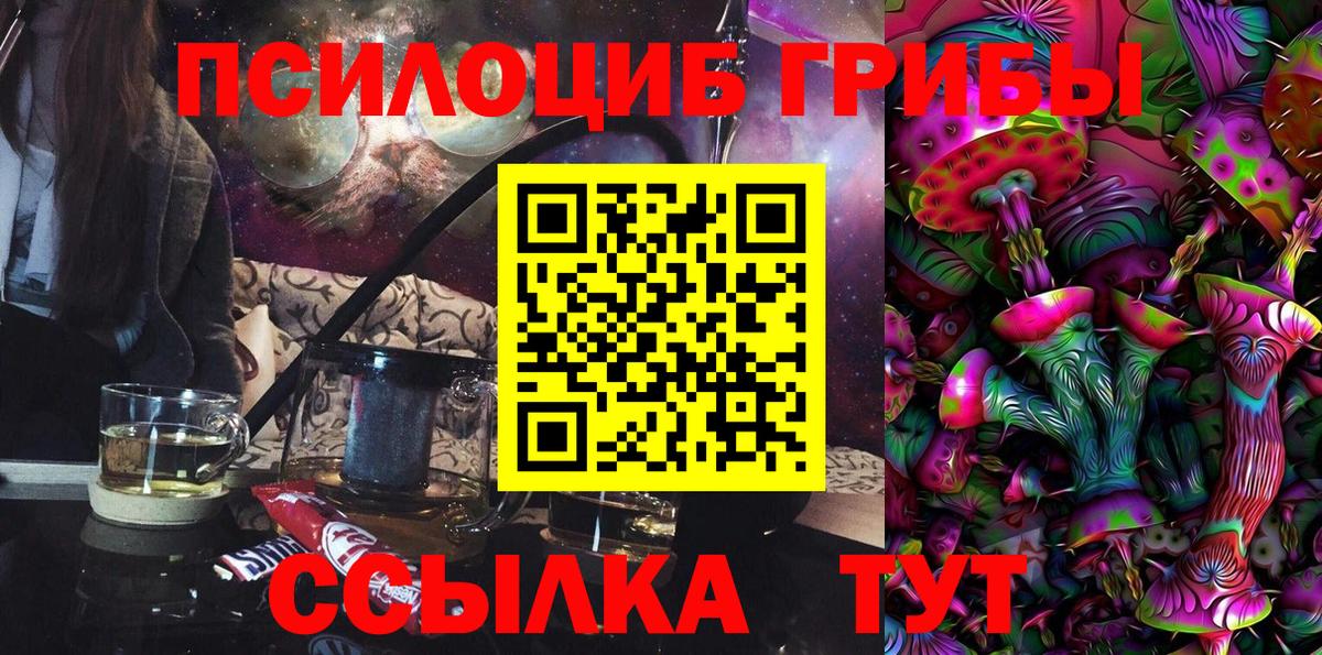 Галлюциногенные грибы Cubensis  Вход с VPN  Прохладный 