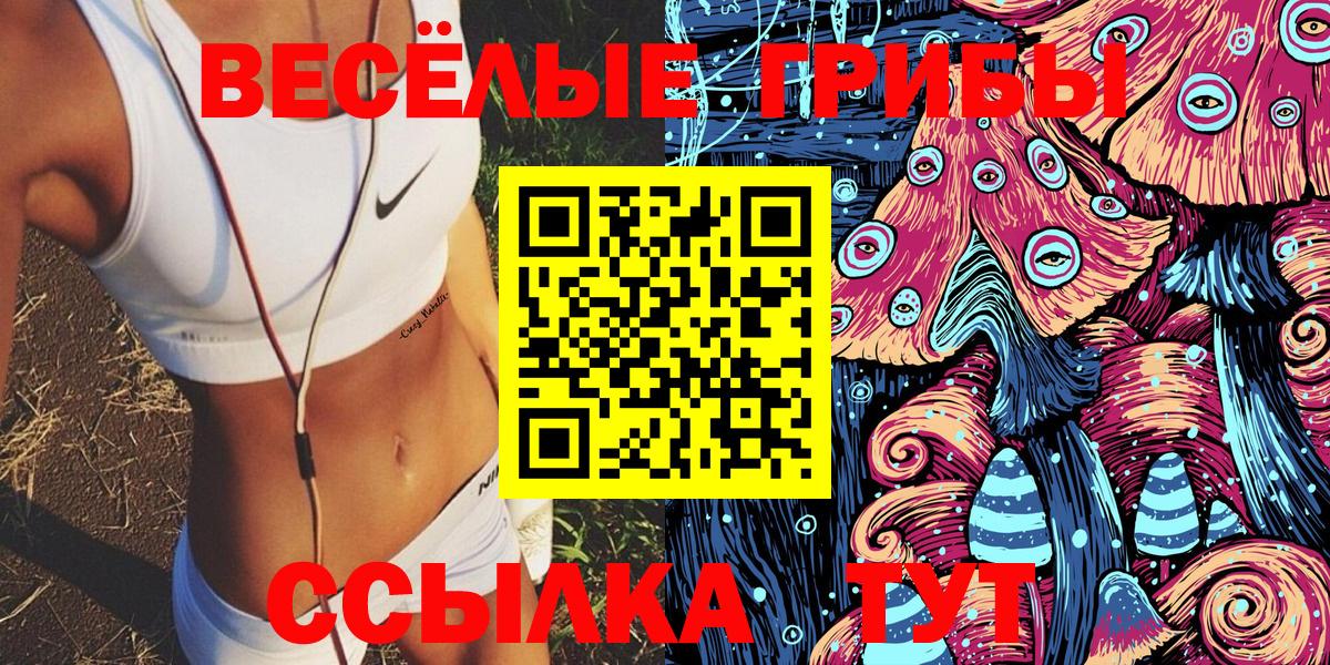 Галлюциногенные грибы MAGIC MUSHROOMS Прохладный